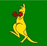 kangaroo kangaroo